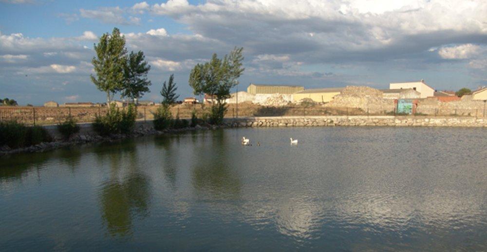 Charcas Naturales "Poza" y "Navajo"